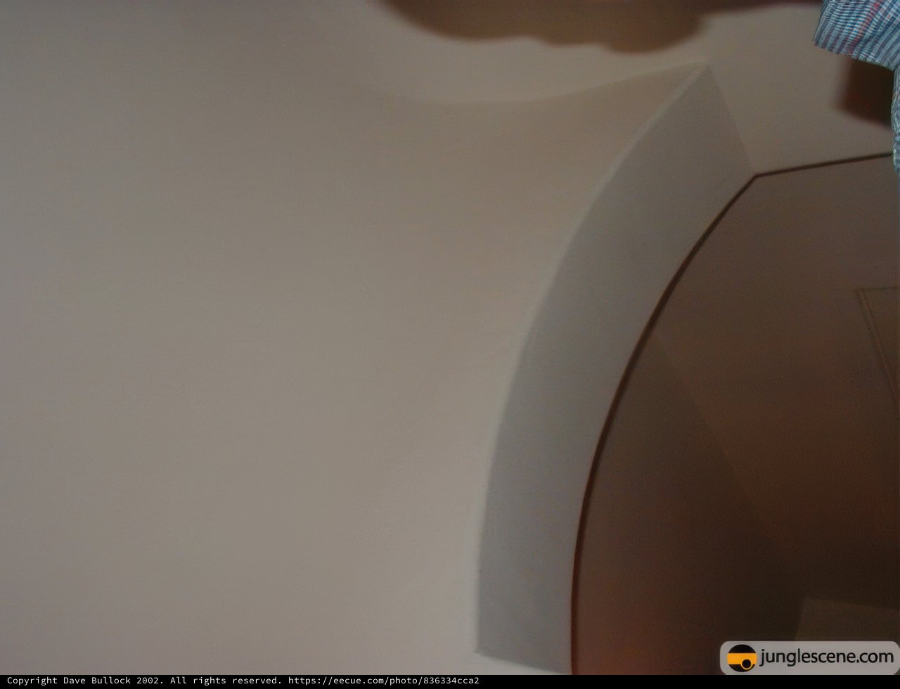 Interior Design Inspiration in a Curved Wall