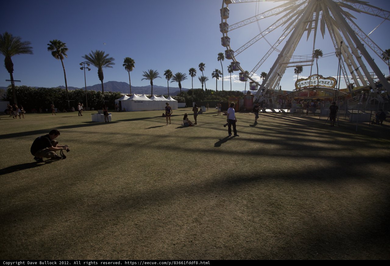 Ferris Wheel Fun at Coachella