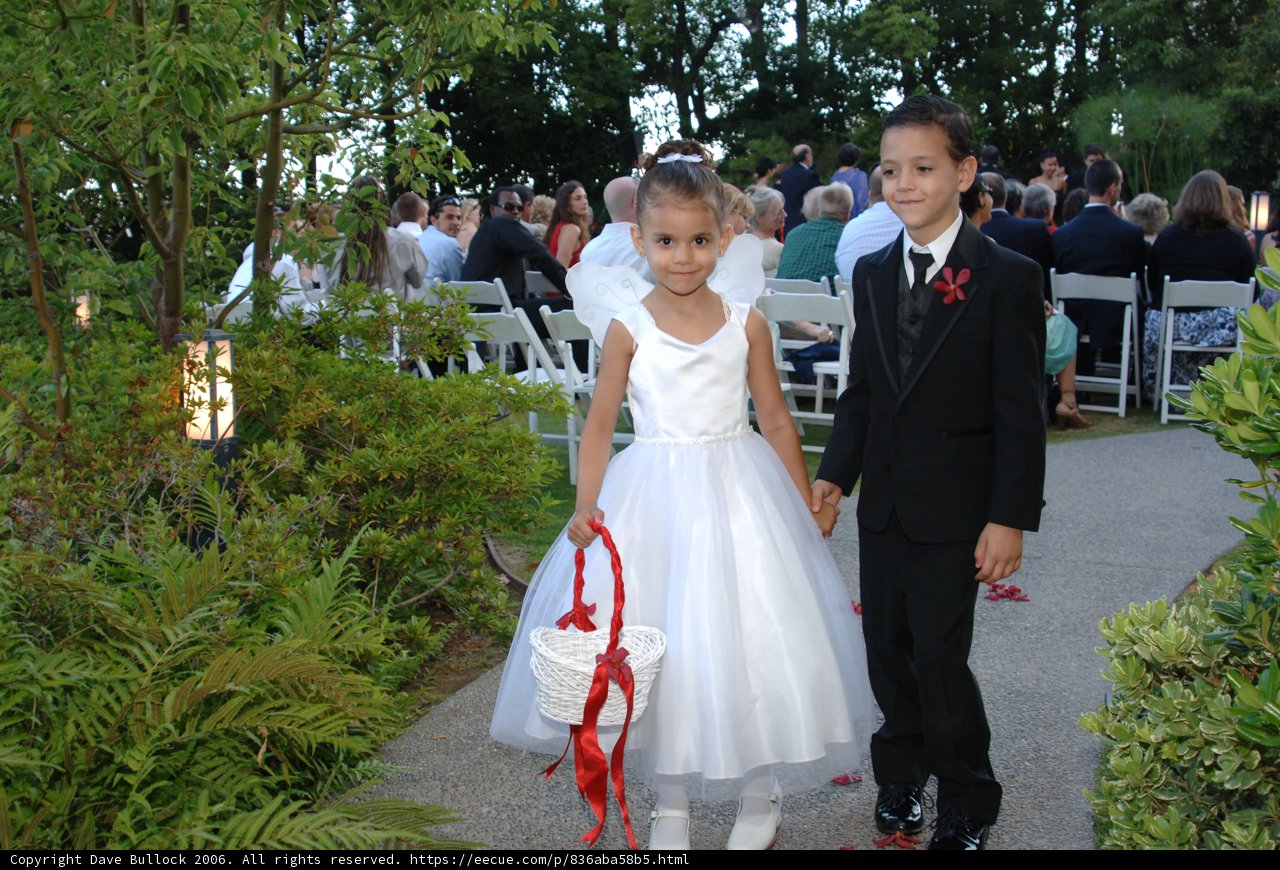 Walking Down the Aisle