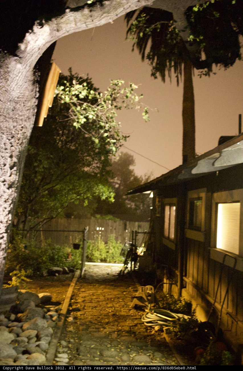 Urban Oasis at Night