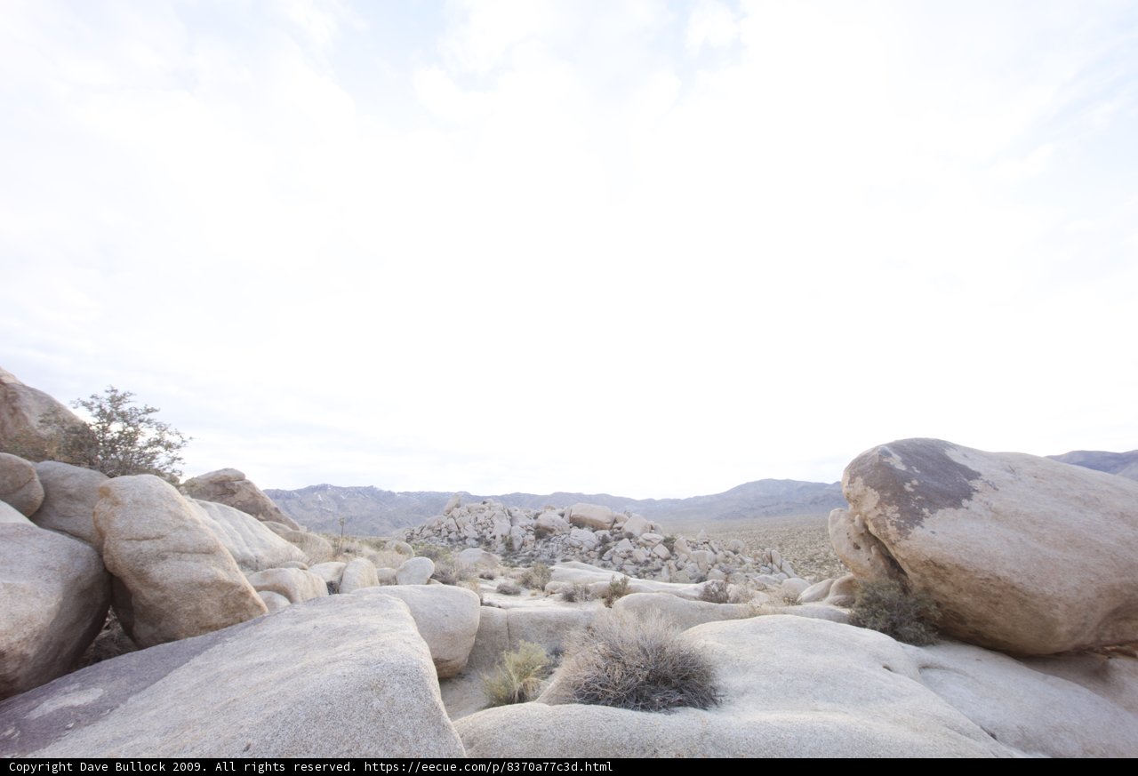 Overlooking the Vast Wilderness of Joshua Tree National Park