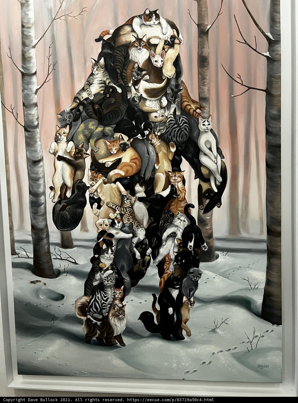 The Feline-Friendly Beast