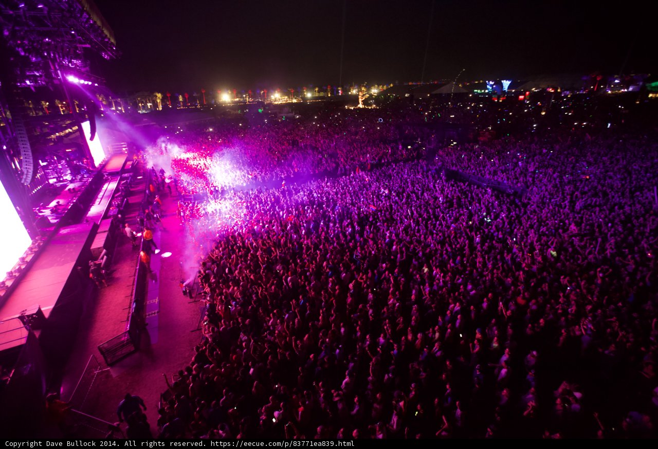 Purple Haze at Coachella