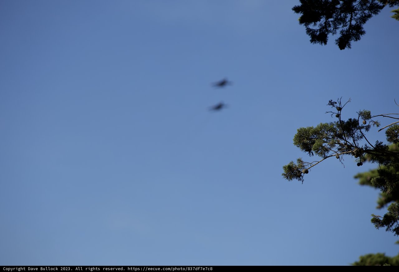 Skyward Soaring Duo