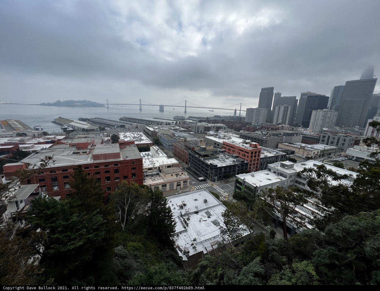 A Bird's Eye View of San Francisco's Metropolitan Cityscape