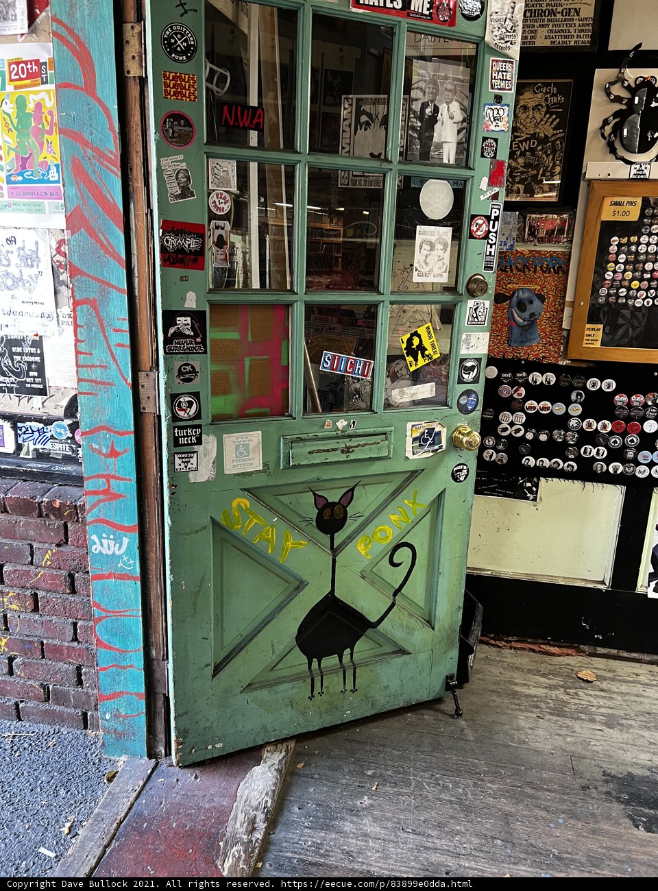 The Cat on the Green Door