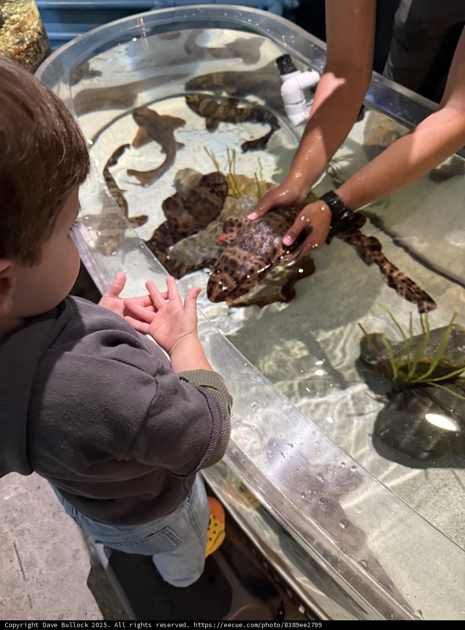 Curious Encounters with Ocean Life