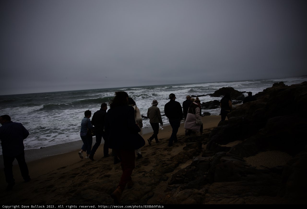 Beachside Stroll in Pescadero