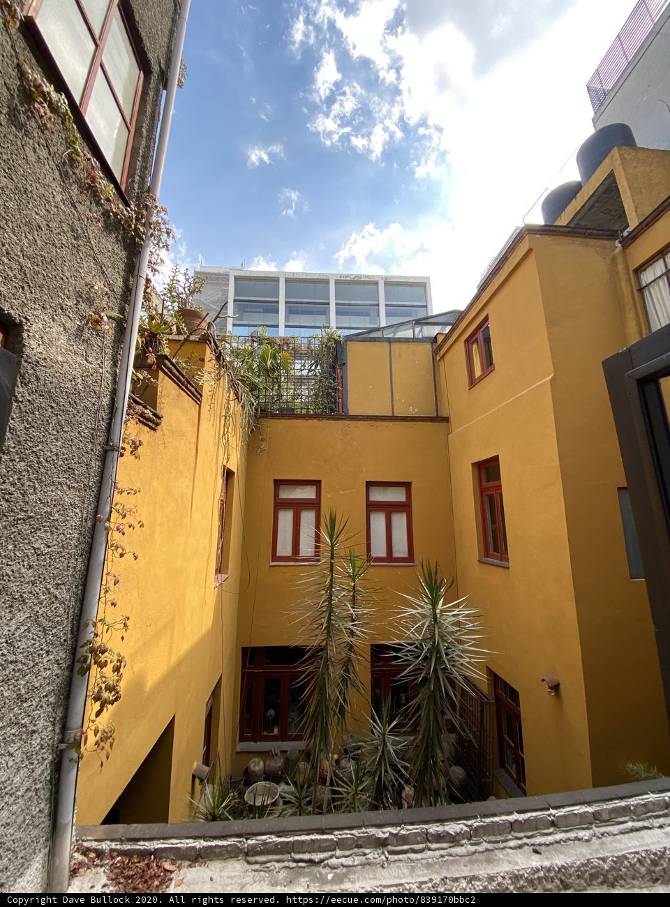 Sunny Villa in the City