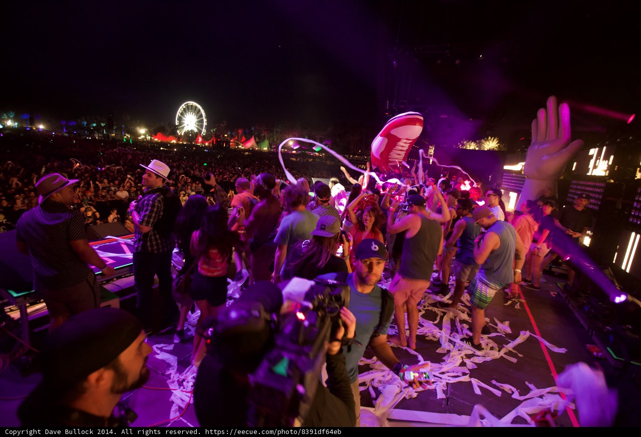 Party under the Night Sky