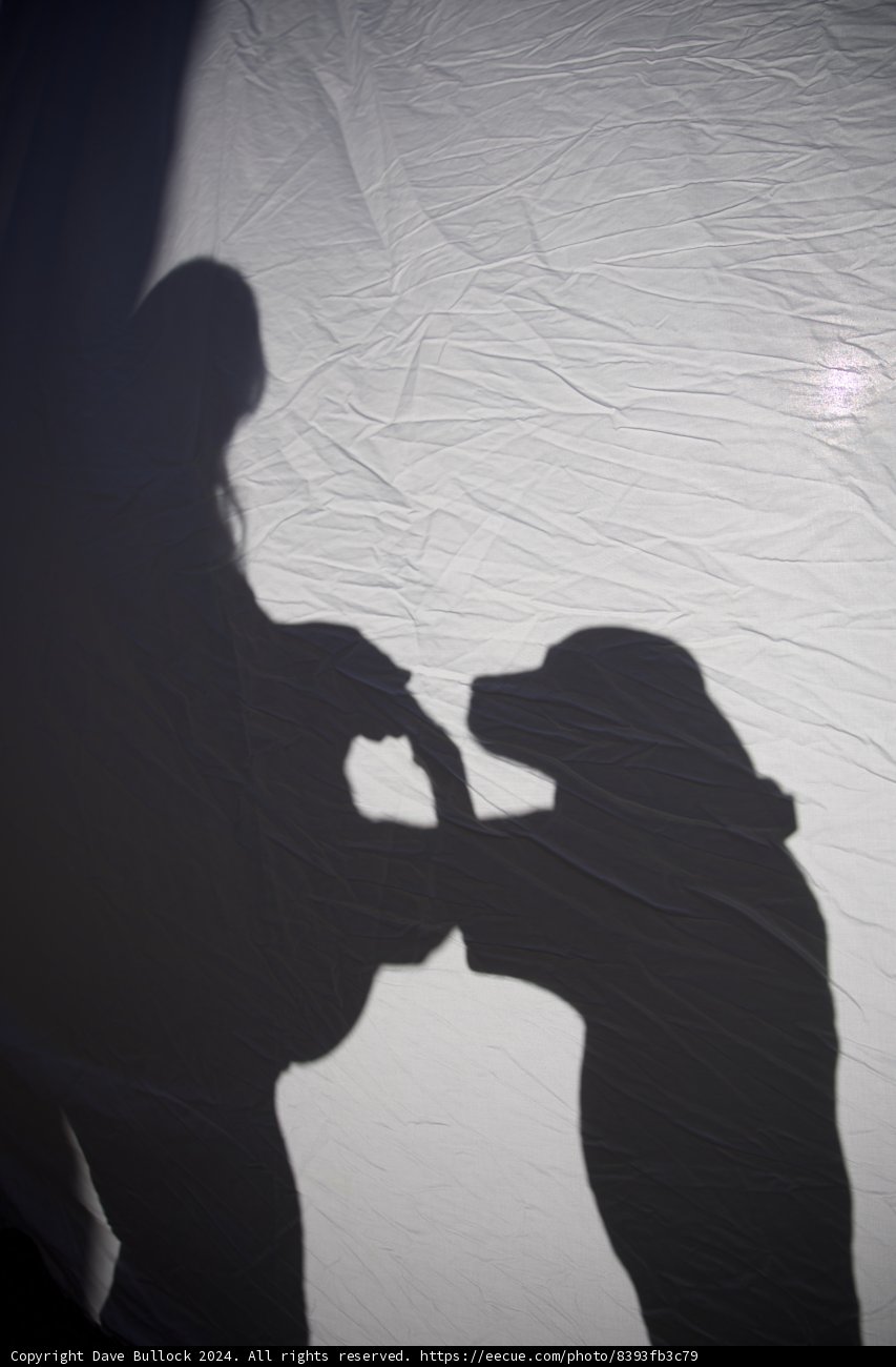 Shadows of New Beginnings