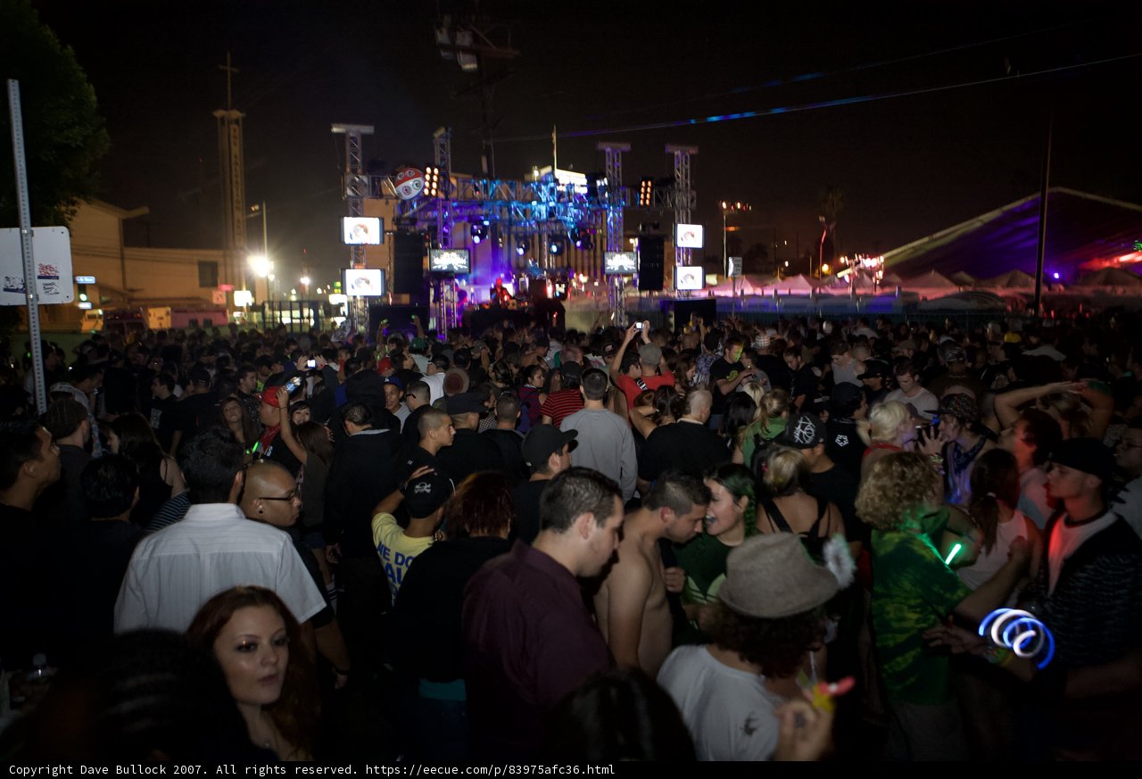 Nocturnal Metropolis Crowd