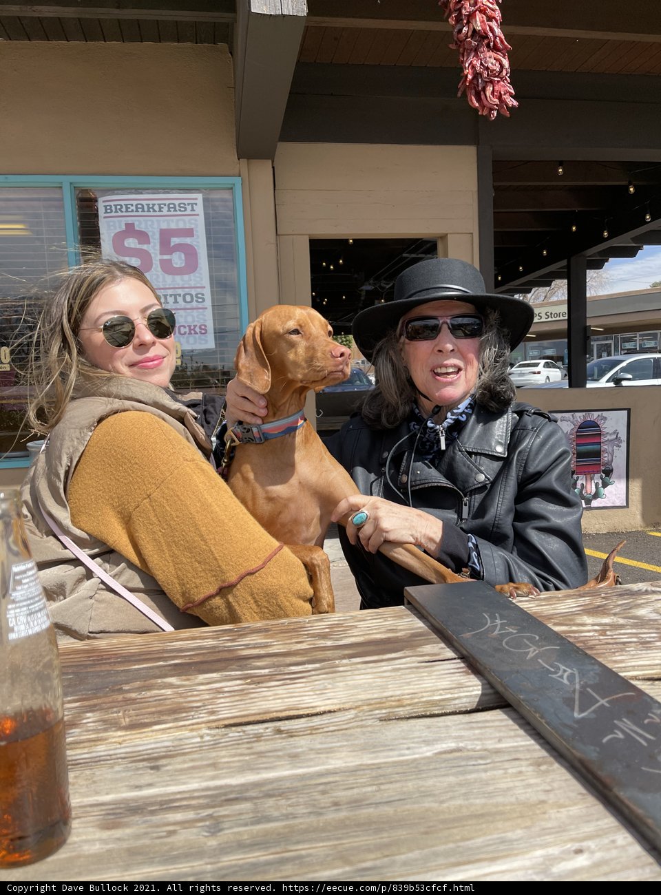 Sipping in Santa Fe with Two Furry Friends