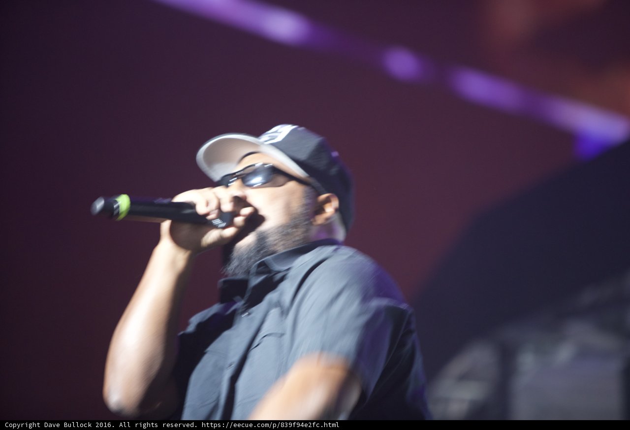 The Entertainer at Coachella