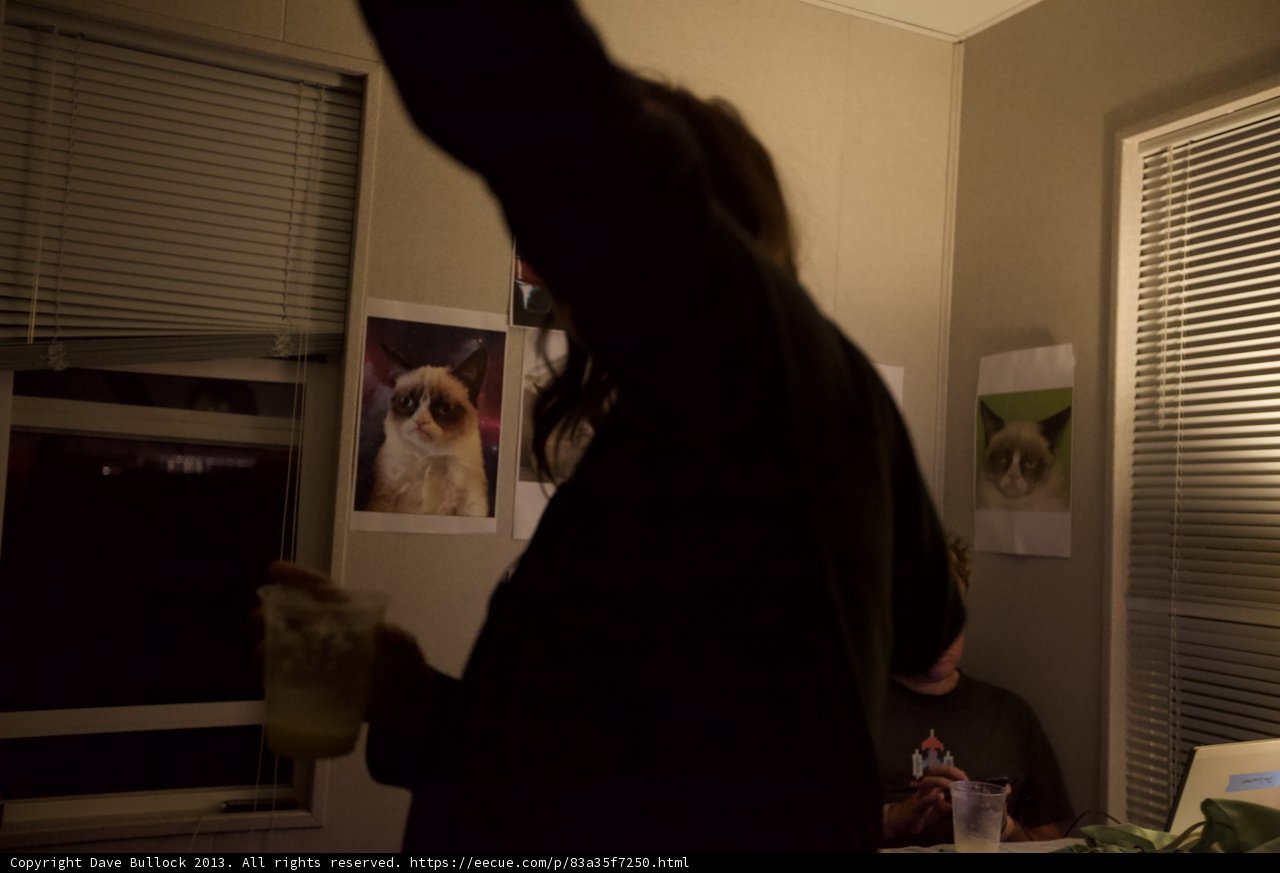 Sipping with a Feline Friend