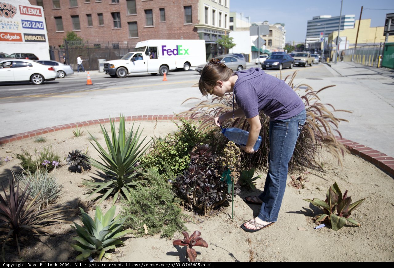 Plant Lady in Action