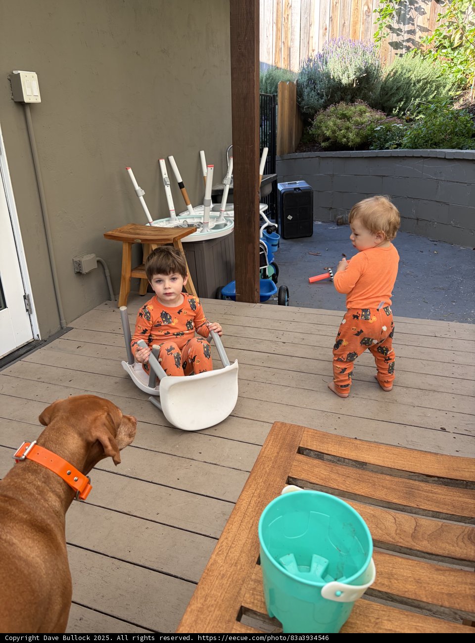 Backyard Adventures
