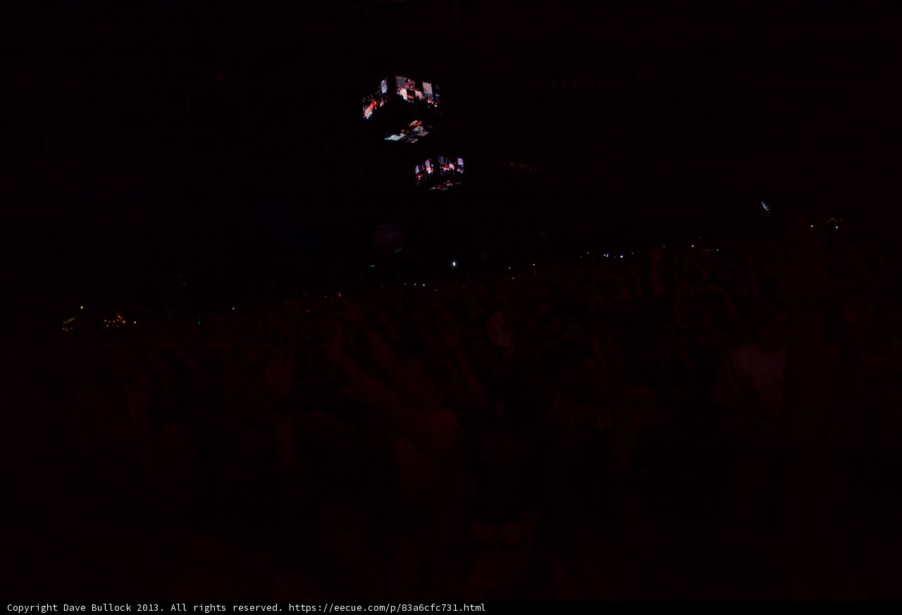 Nighttime Rave