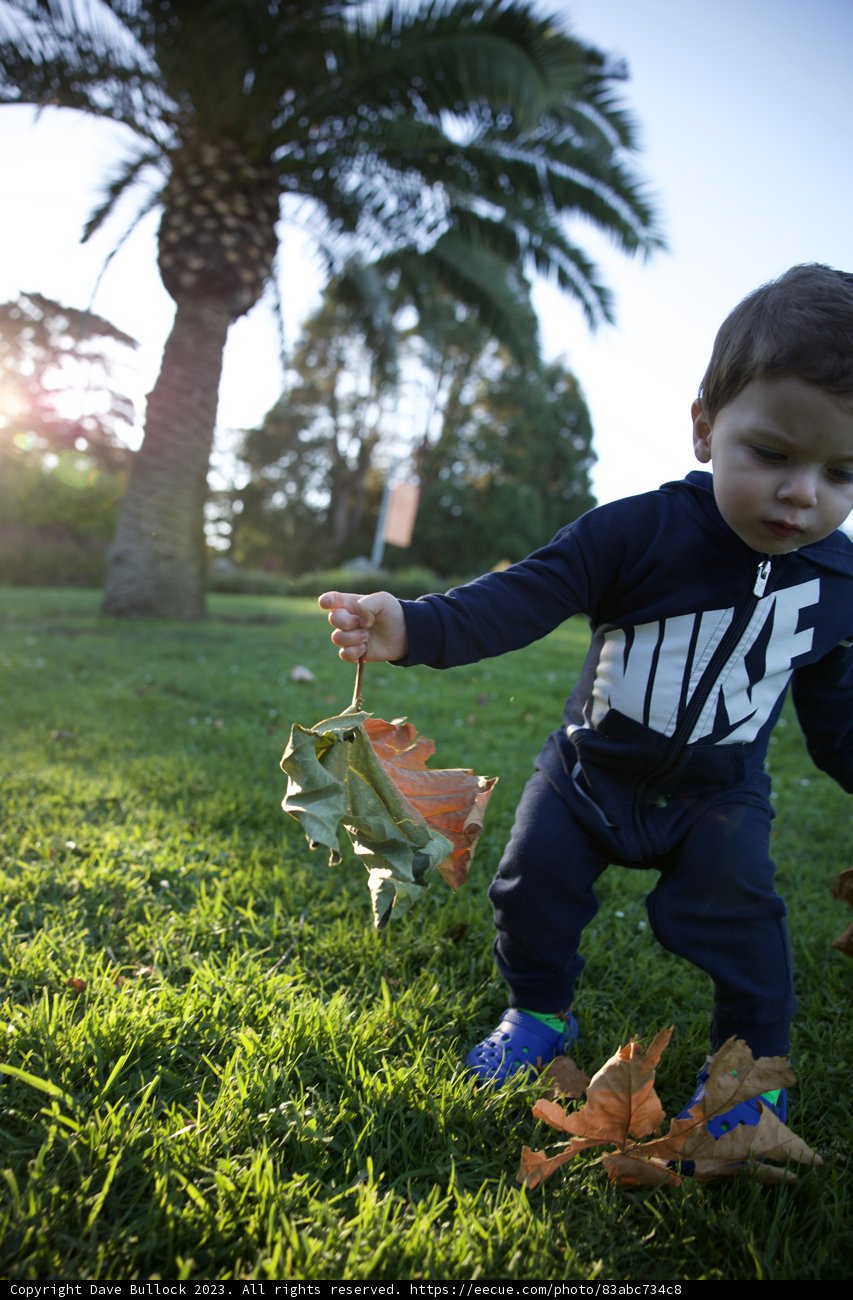 Joy in Autumn Leaves