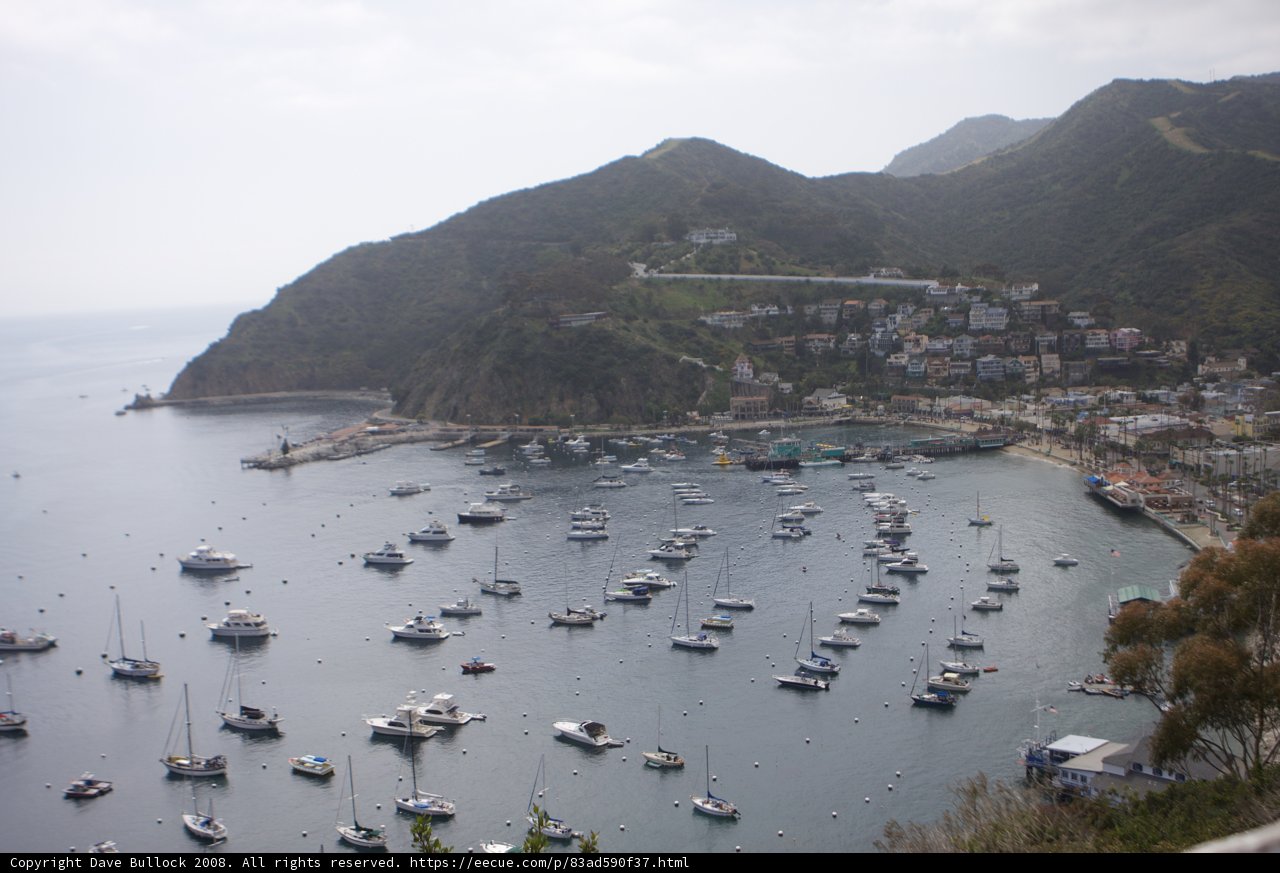 A Bird's-Eye View of the Bustling Catalina Harbor