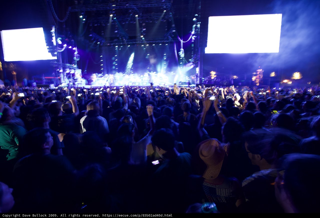 Coachella Crowd Goes Wild