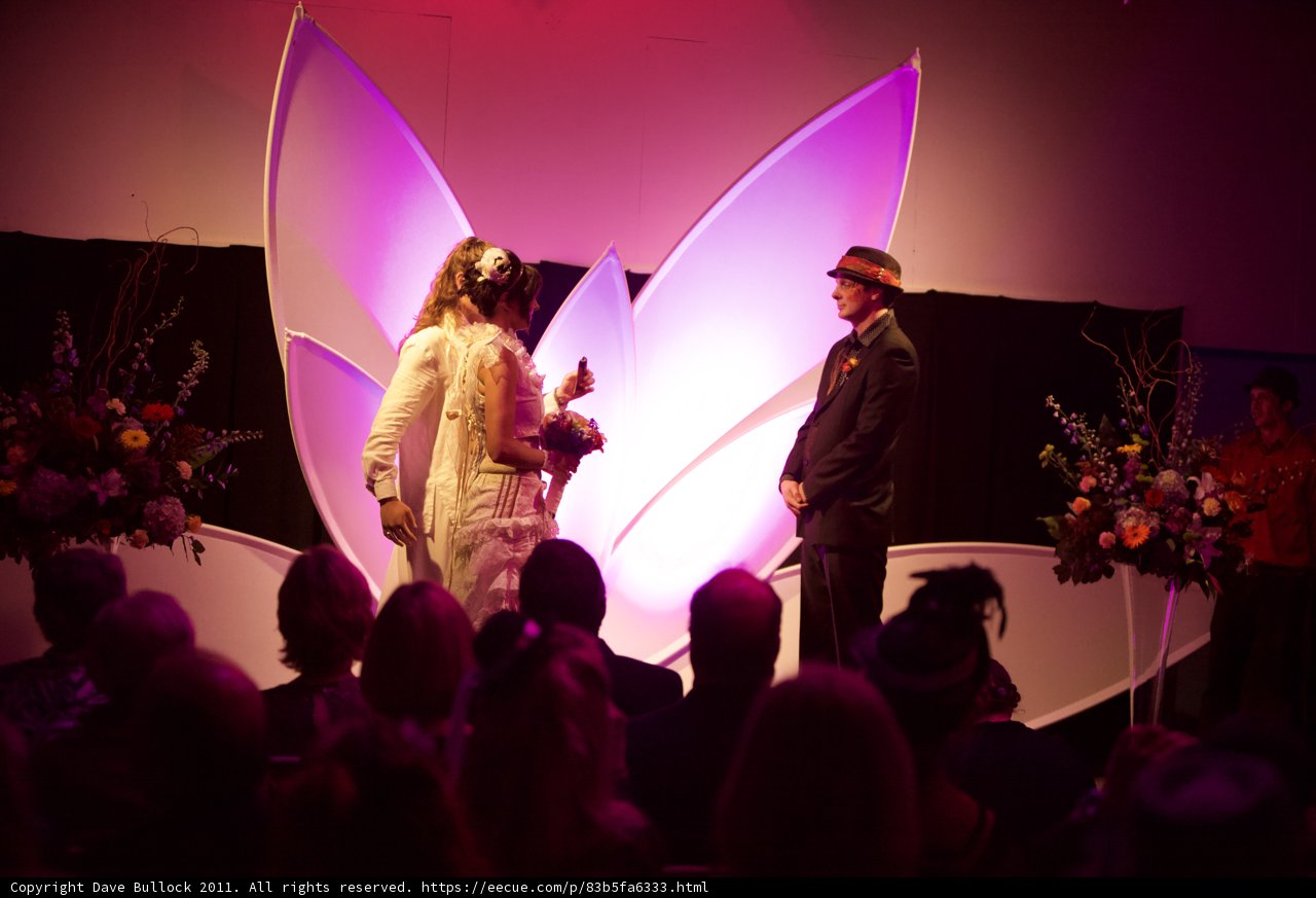 The Beautiful Flower Adorned Stage