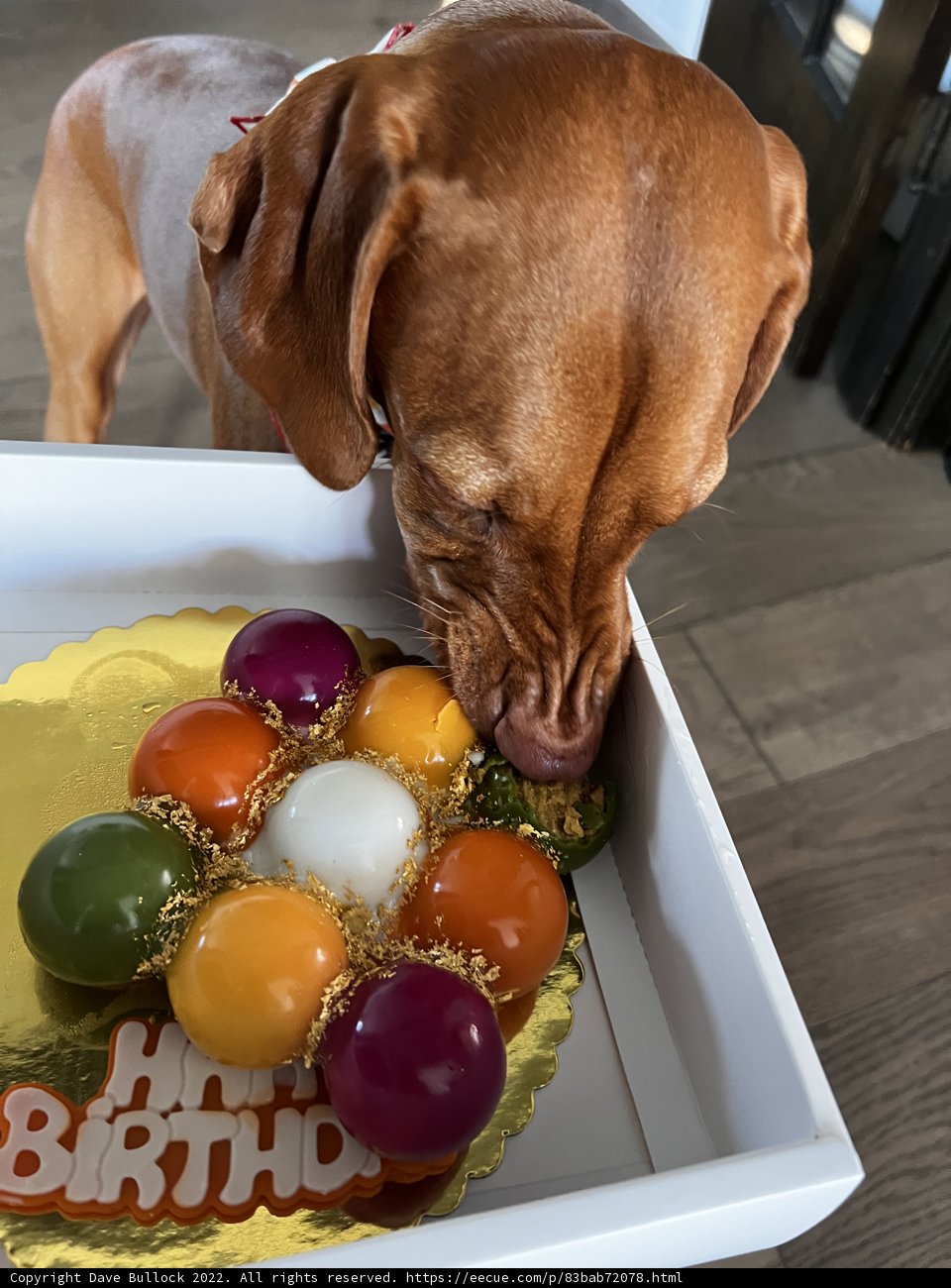 Cake Inspector
