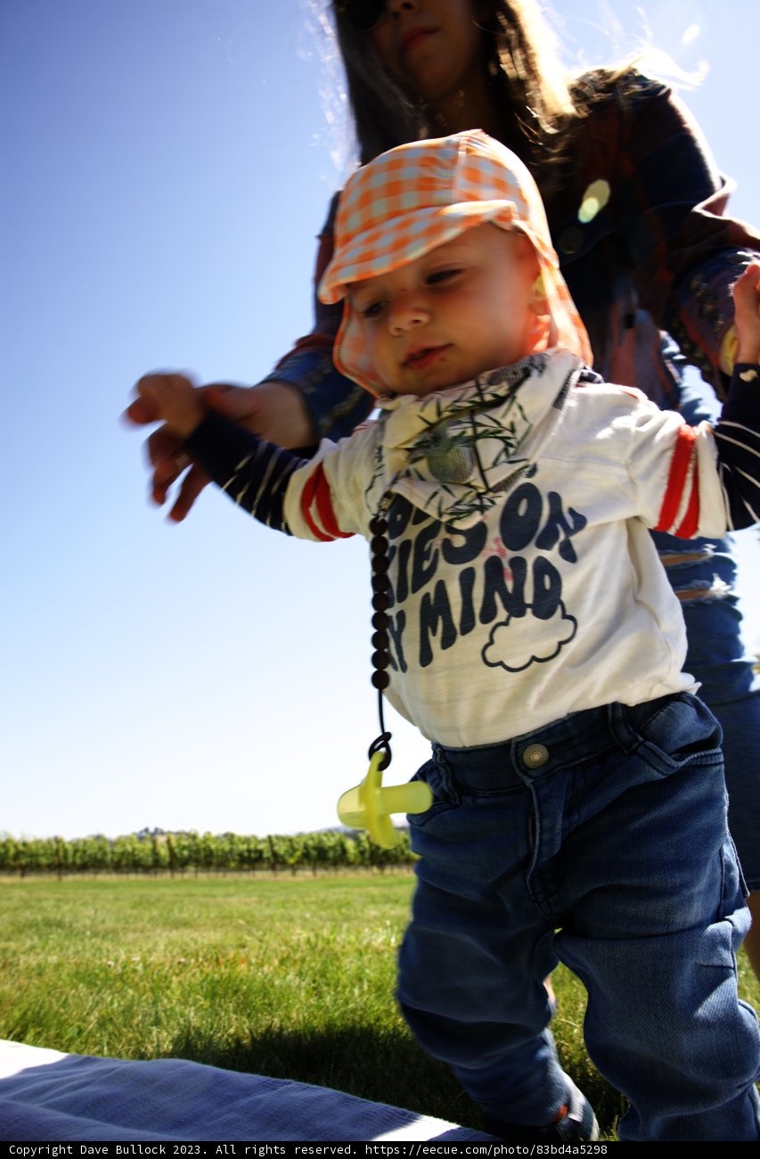 Adorable Baby's Day Out