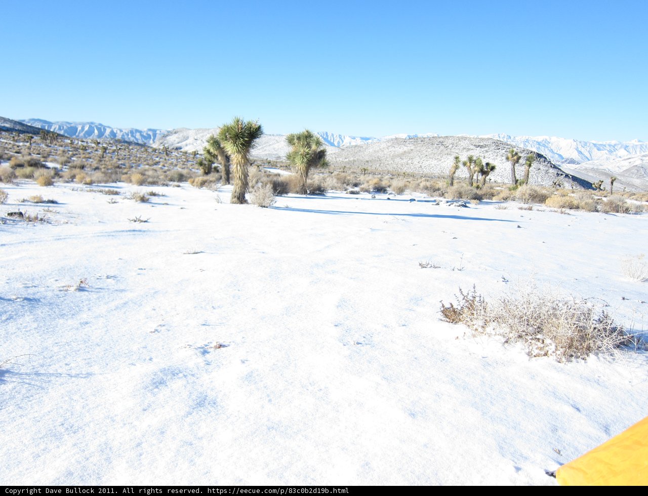 Snowboarding Adventure on the Plateau