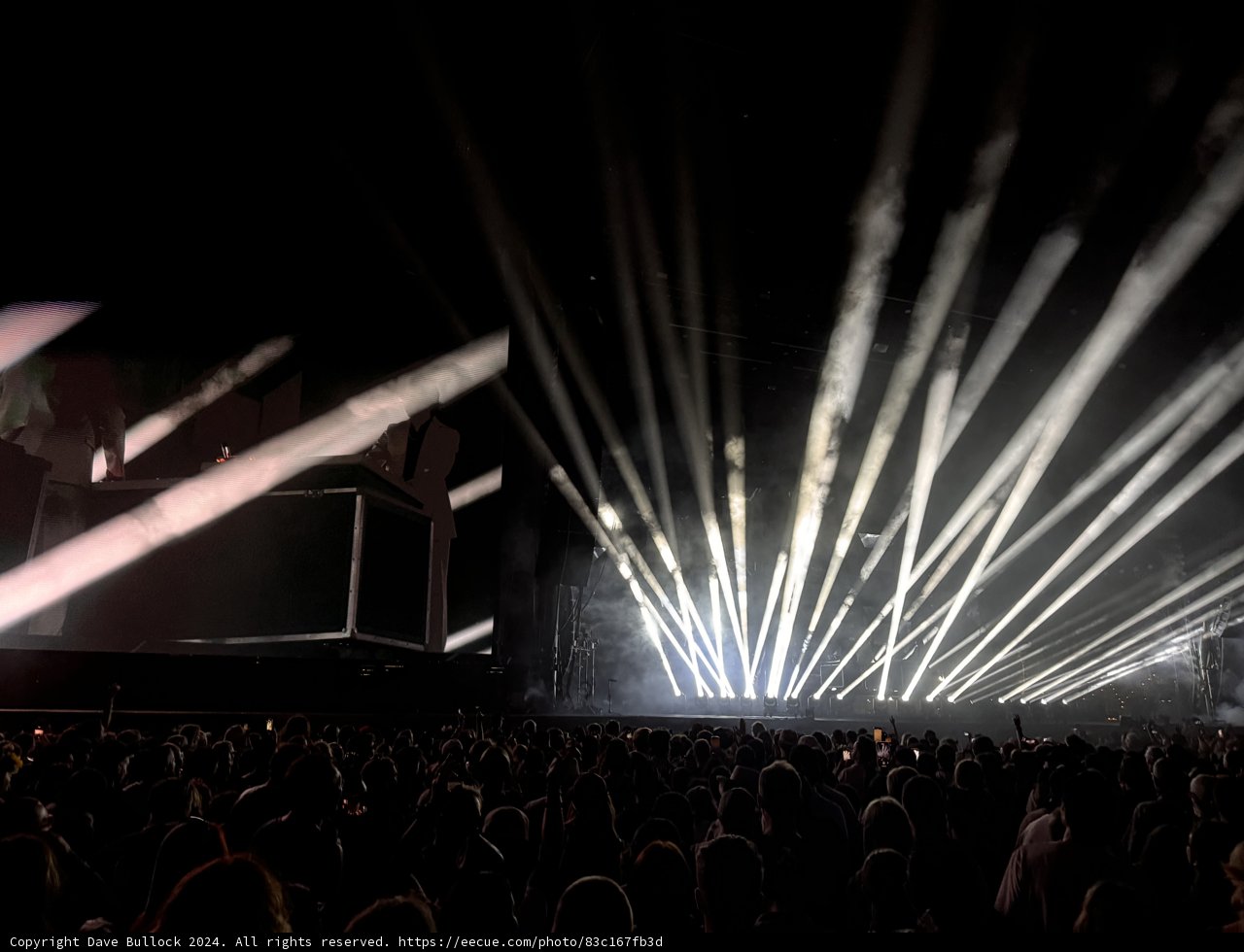 Illuminated Euphoria: Coachella Night