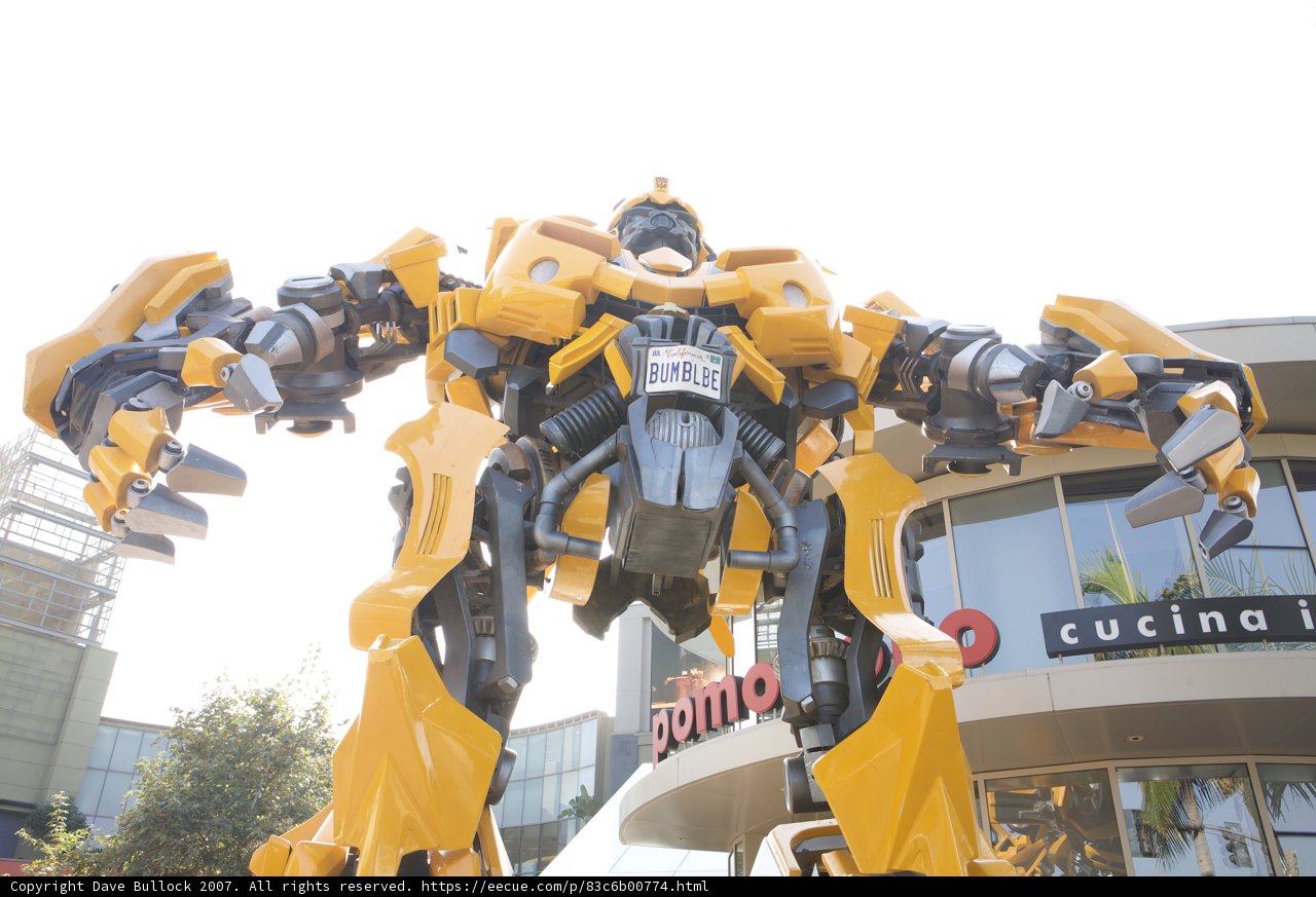 Bumblebee Robot