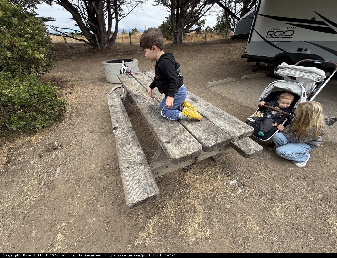 Curious Moments in Cambria