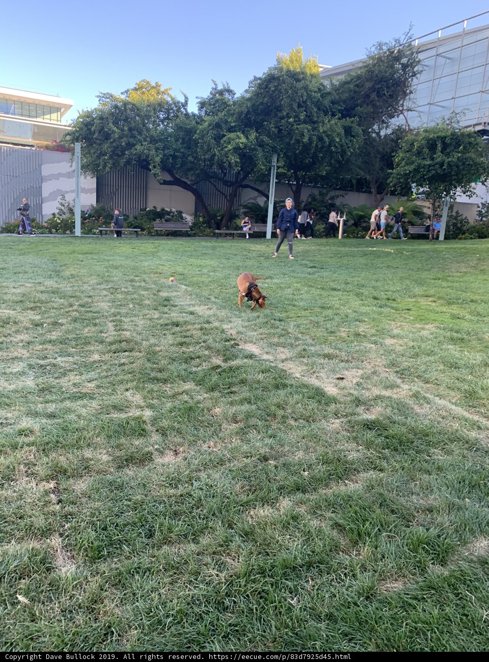 Running Free in San Francisco
