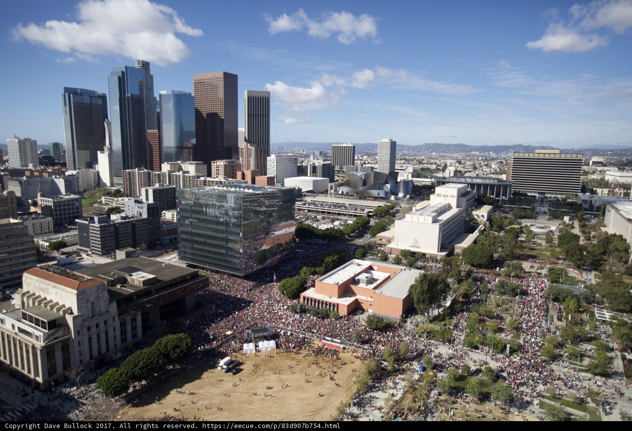 Massive Turnout for Women's March in Cityscape