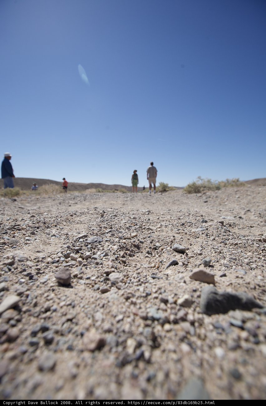 Desert Walk