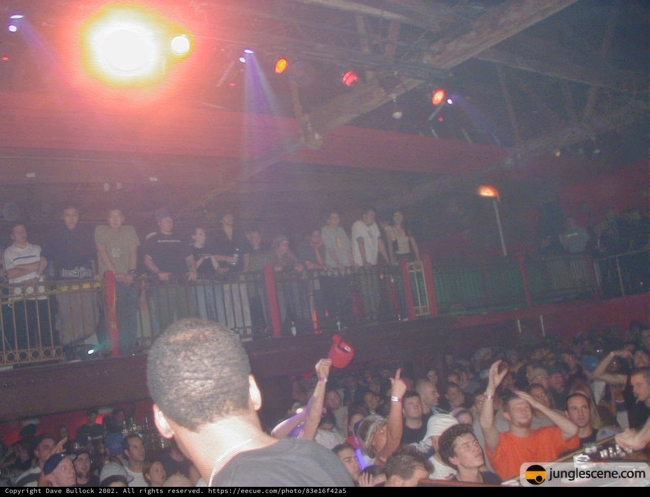 Nightclub Performance