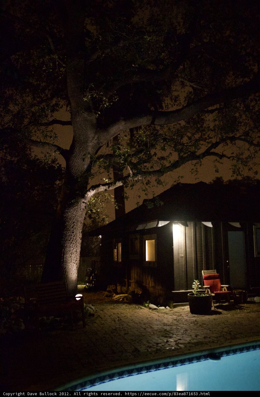 Serene Nighttime Oasis