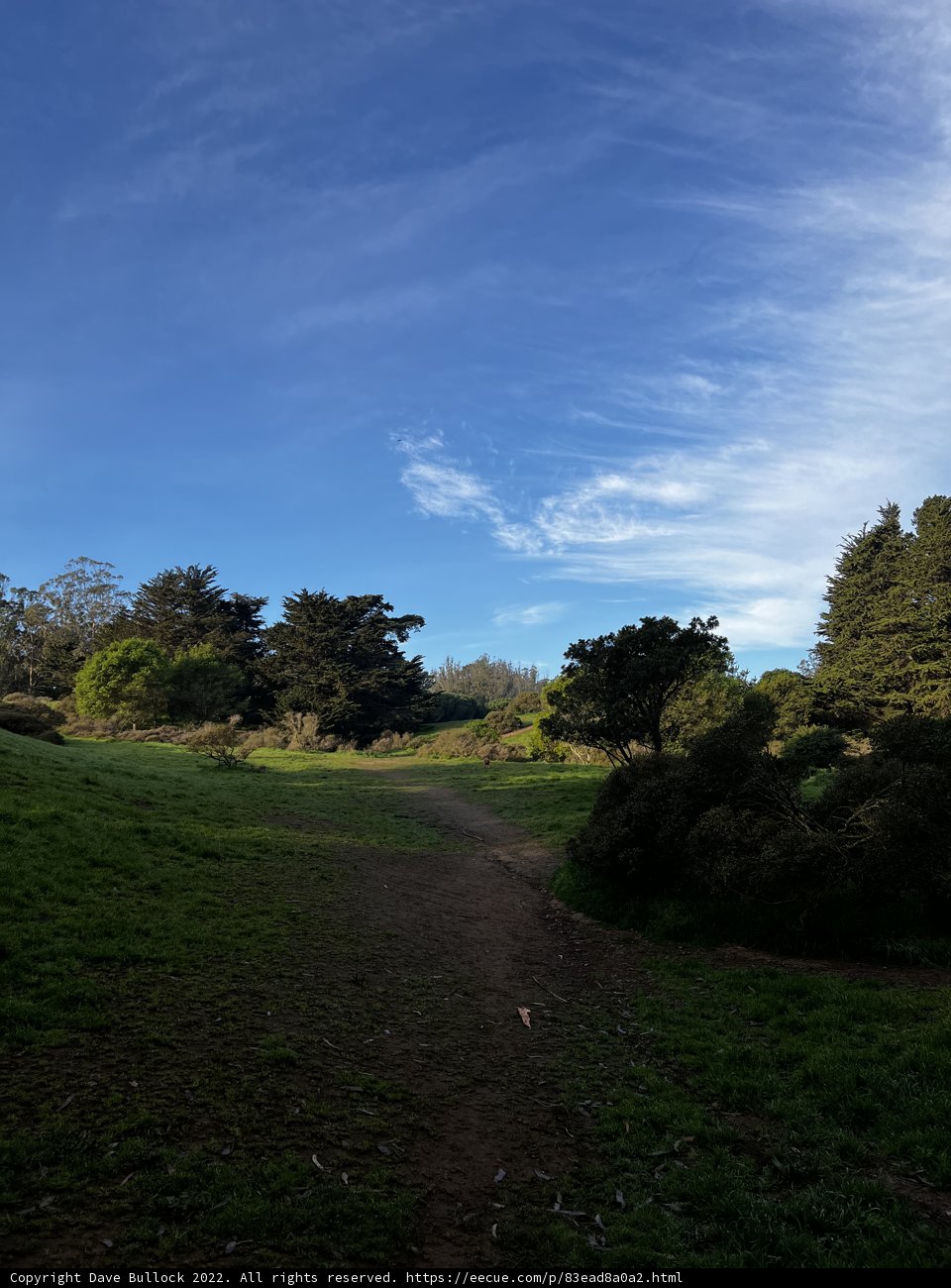 Serene Scenery of McLaren Park