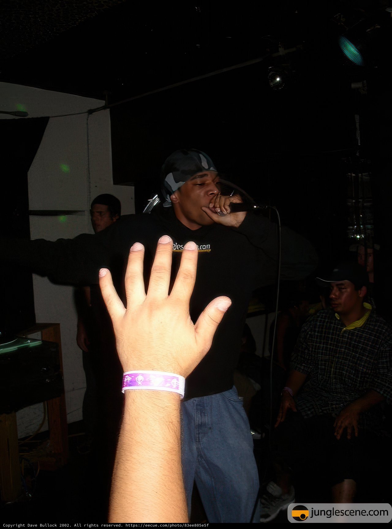 Microphone Check