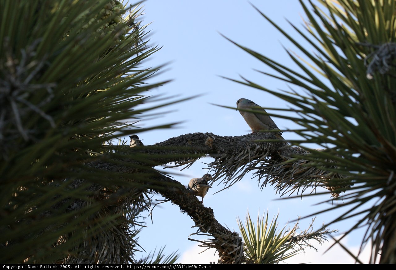 Branching Out
