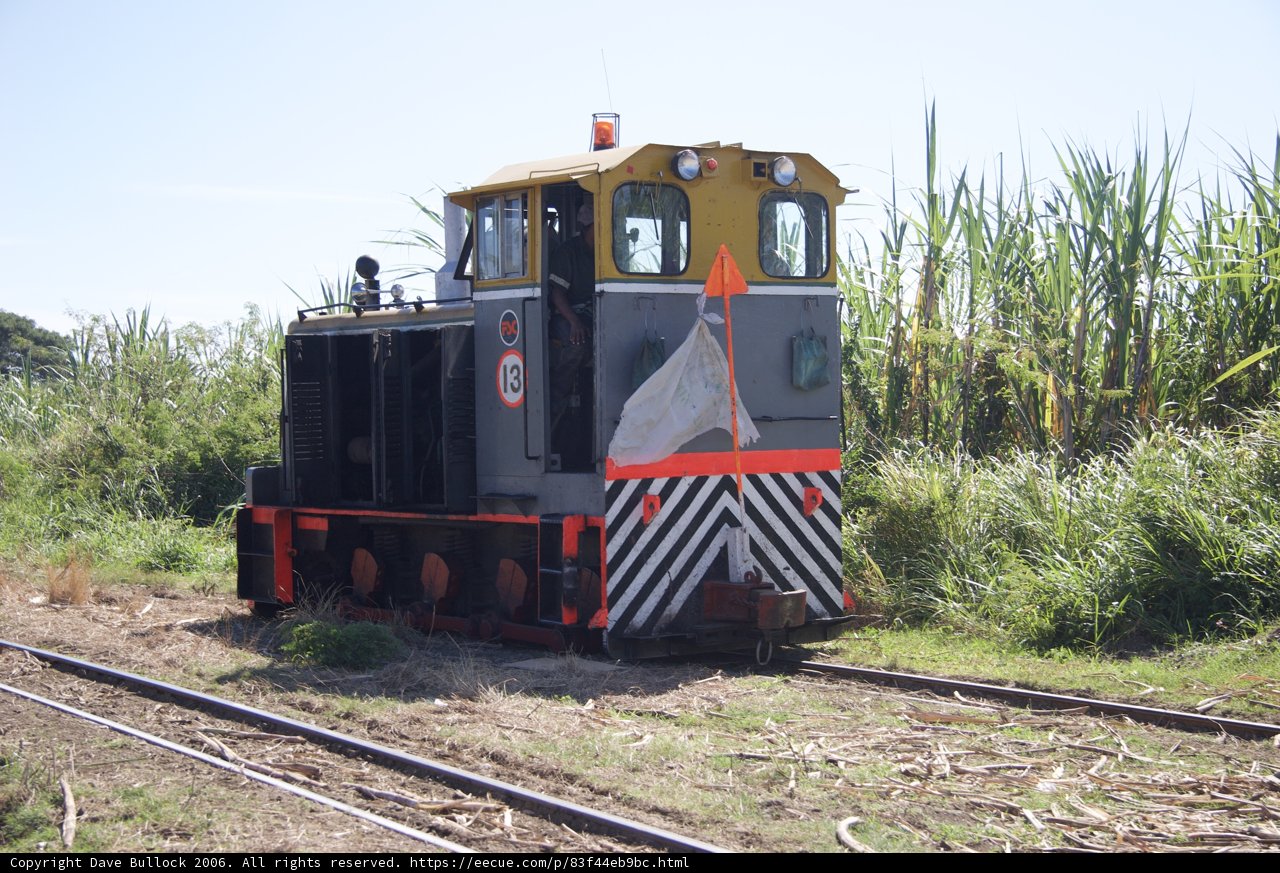 Flag-Waving Train Takes the Scenic Route