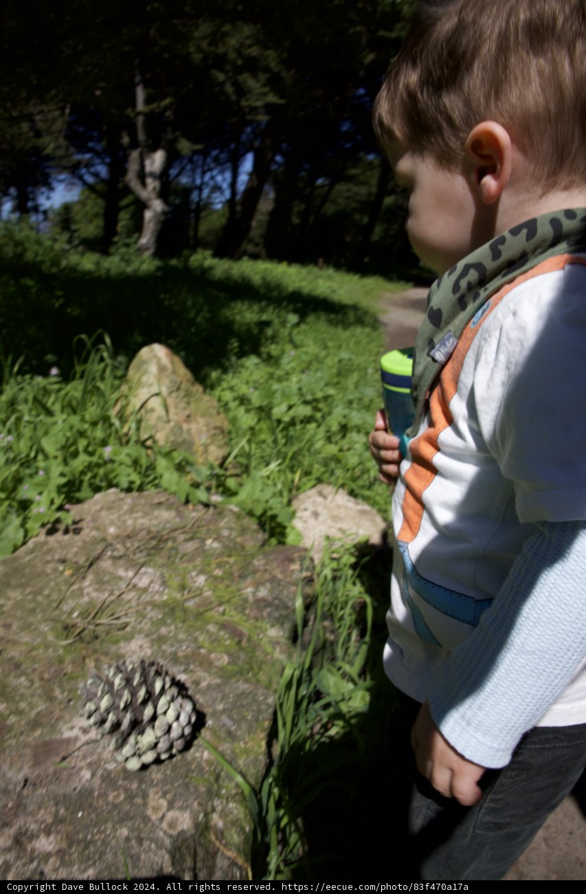 A Young Adventurer's Pause in the Heart of Nature