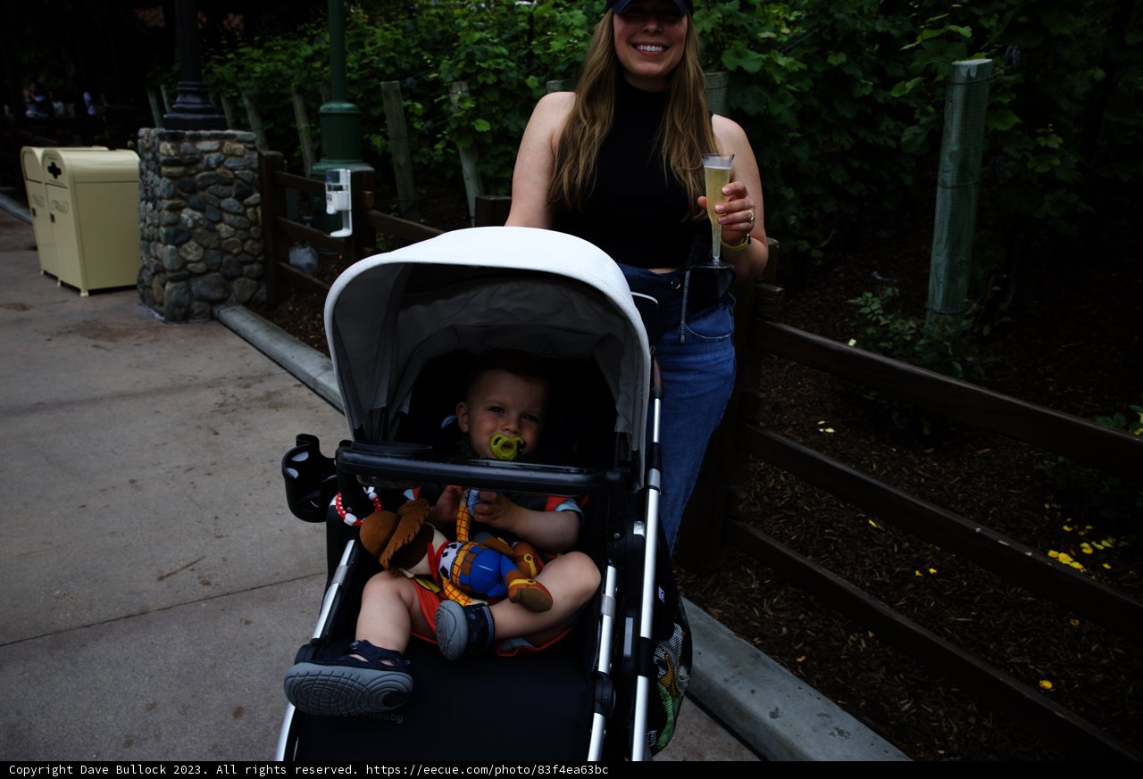 Magical Moments at Disneyland