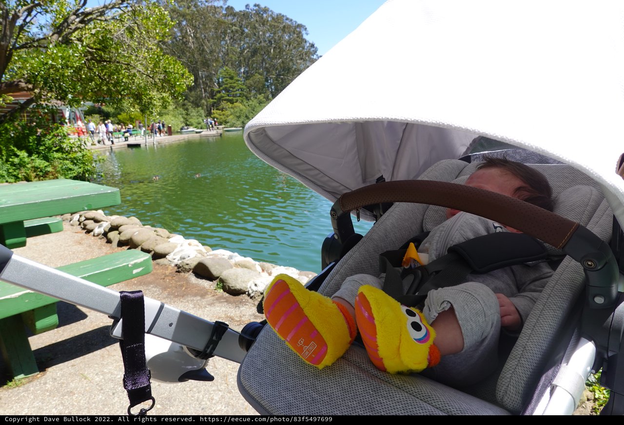 Baby in Stroller Enjoying Lakeside Park Day