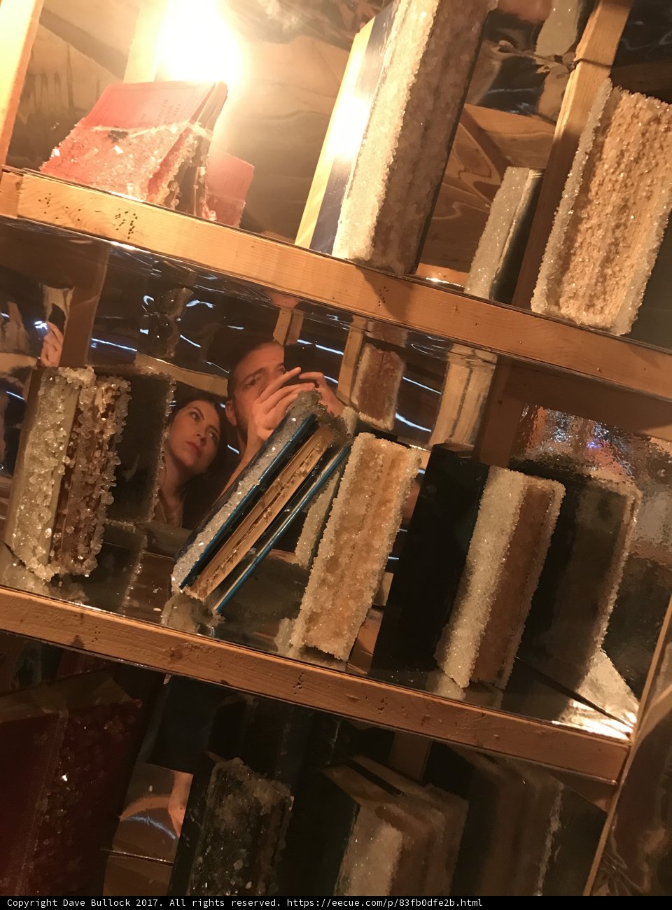 Selfie with a Shelf Full of Books