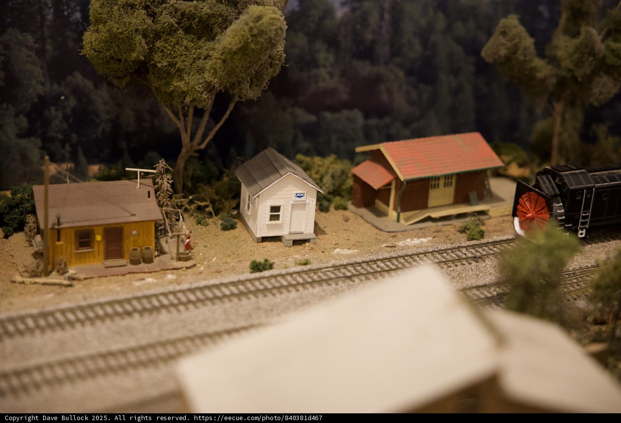 Miniature Rural Oasis