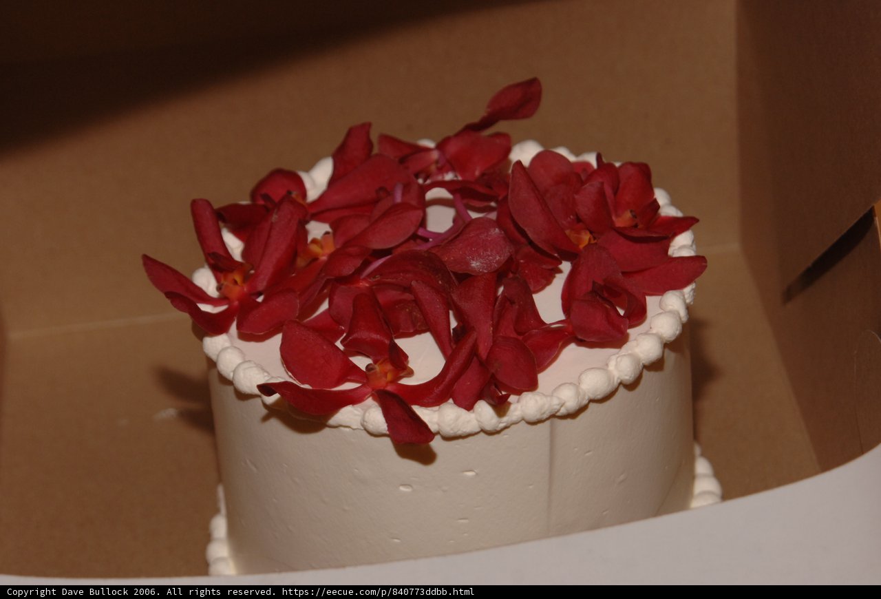 Delicate White Cake with Red Flower Decorations