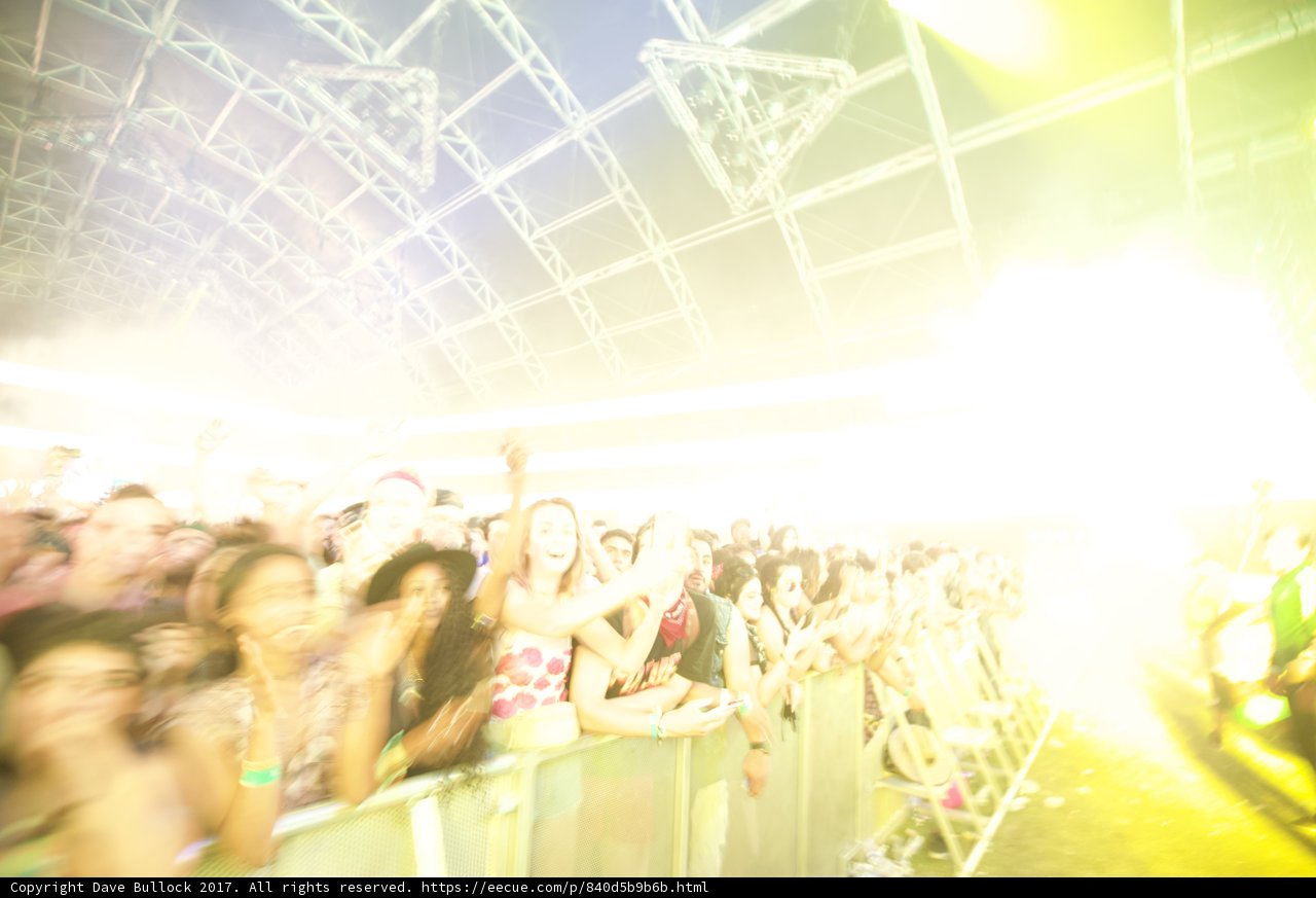 Coachella Concert Crowd