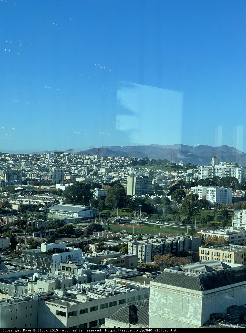 Overlooking the Urban Jungle