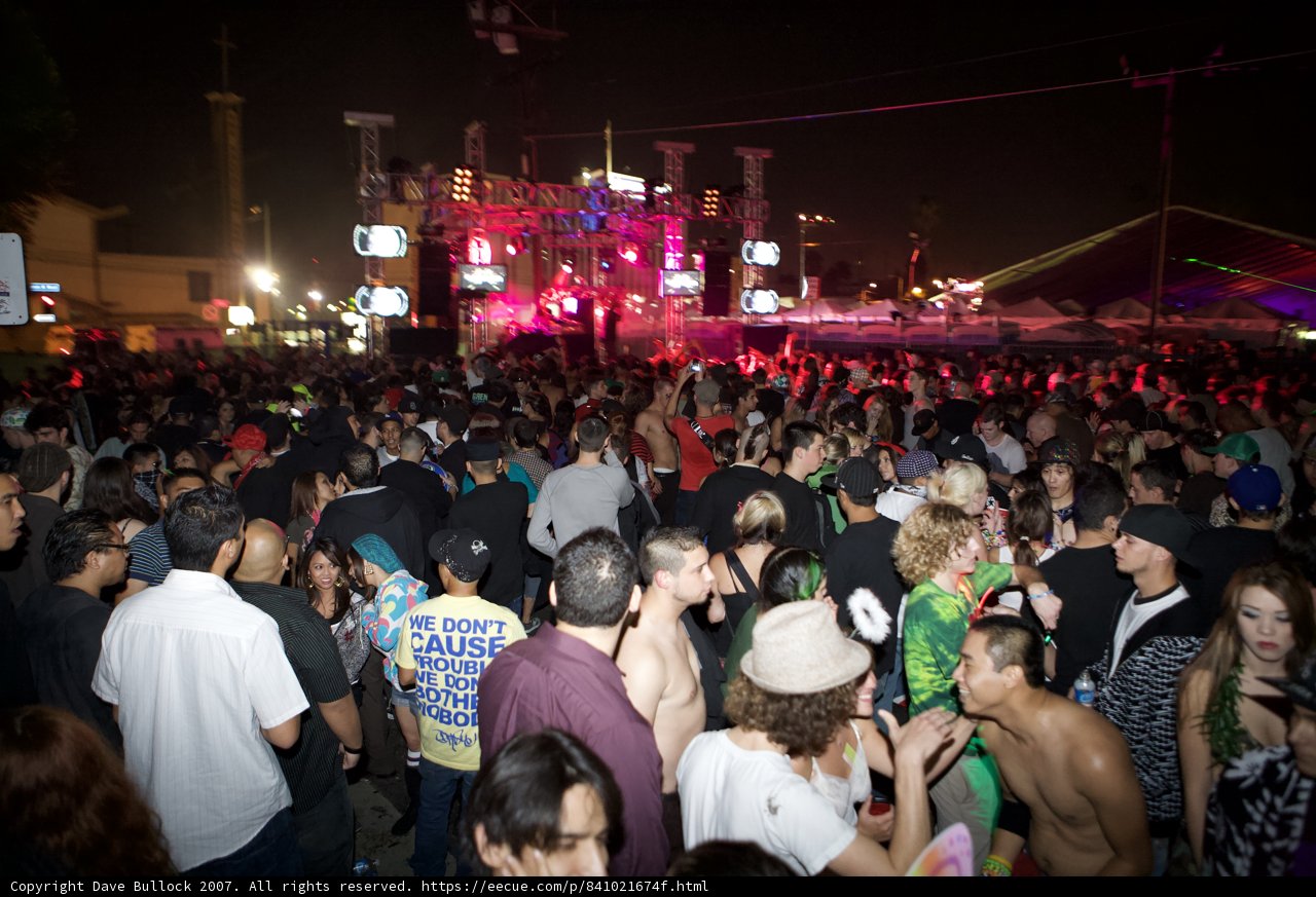 Nocturnal Crowd Rocking to the Beats